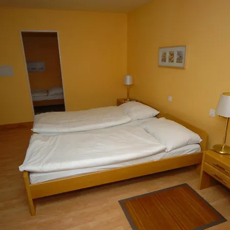 Hotel Le Cedre 3*