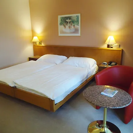 Le Cedre Hotel 3*