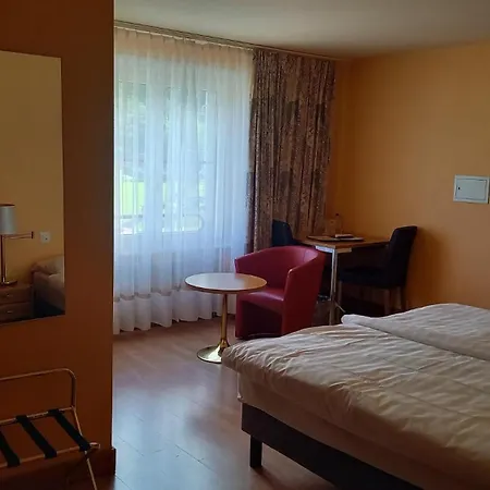 Hotel Le Cedre 3*