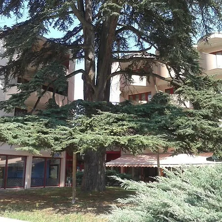 Le Cedre