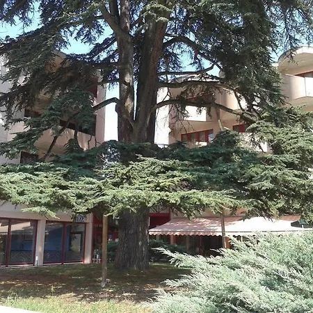 Le Cedre